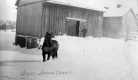 Horse in snow at Amos Somers' Farm