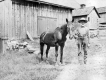 Amos Somers and horse