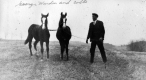 George Warden and colts