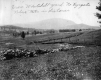 Whitehill yard with Blue Mountain in distance