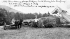 Haying at Warden Farm 
