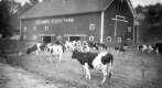 Columbia Stock Farm