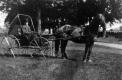 Horace Gleason with horse & carriage at Gleason Farm, McIndoes Falls
