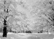 Wintry scene in Barnet