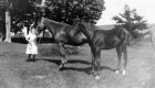 Girl with ponies at Gleason Farm