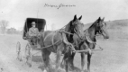 Horace Gleason and team of horses