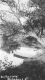 By the Connecticut River, McIndoes