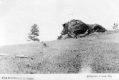 The Old Man of McIndoe