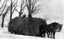 Team & load of hay by Gleason Farm