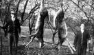 2 deer hung-up and two hunters
