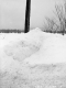 Snow Banks in Eden