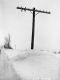 Snow Banks in Eden