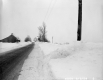 Snow Banks in Eden