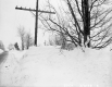 Snow Banks in Eden