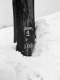 Snow Banks in Eden