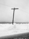 Snow Banks in Eden