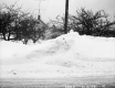 Snow Banks in Eden