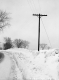 Snow Banks in Eden