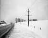 Snow Banks in Eden
