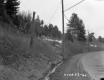Western Union Poles