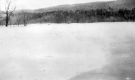 Scene of the Flood