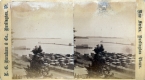 Harbor scene