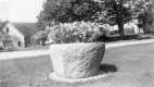 Flower pot in McIndoes Square