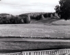 Warden Farm