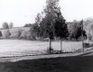 Dirt Road at Warden Farm