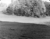 Frosty morning in back of the Warden Farmhouse