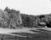 Chicken Shelter at Warden Farm