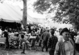 Auction at Levi Vance farm