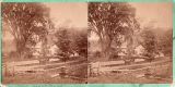 Hold Holcomb place 