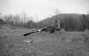 A Rifle and Its Victim