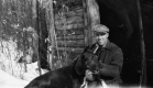 A Man Petting Dogs