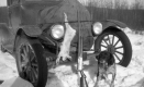 A Captured Rabbit on a Car