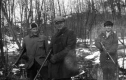 Hunters in the Woods