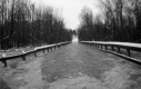 An Icy, Flooded Road