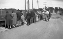 A Crowd by an Accident