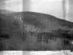 A Snowy, Forested Hill
