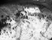 Aerial of Snow Covered Forest in Bristol