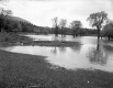 A Flooded Field 