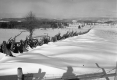 Snowy Field with Wooden Fence