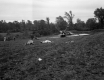 Airplane Accident