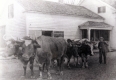 Farmer with oxen