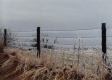 Ice covered barbed wire