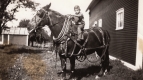 A Young Rider