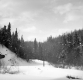 Winter Landscape 