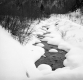 Running Stream During the Winter Months