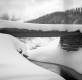 Winter Scene; Running Stream